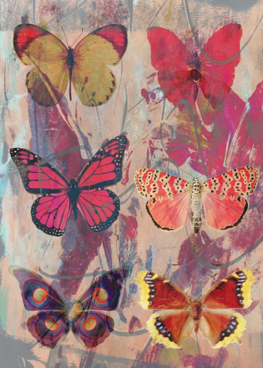Butterflies Lila Poster Print by Anne Waltz - Item # VARPDXWE0036